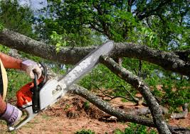 Soil Testing and Treatment in Shively, KY